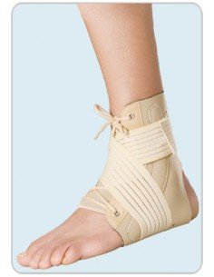 Επιστραγαλίδα με μπανέλες και δέστρες elife